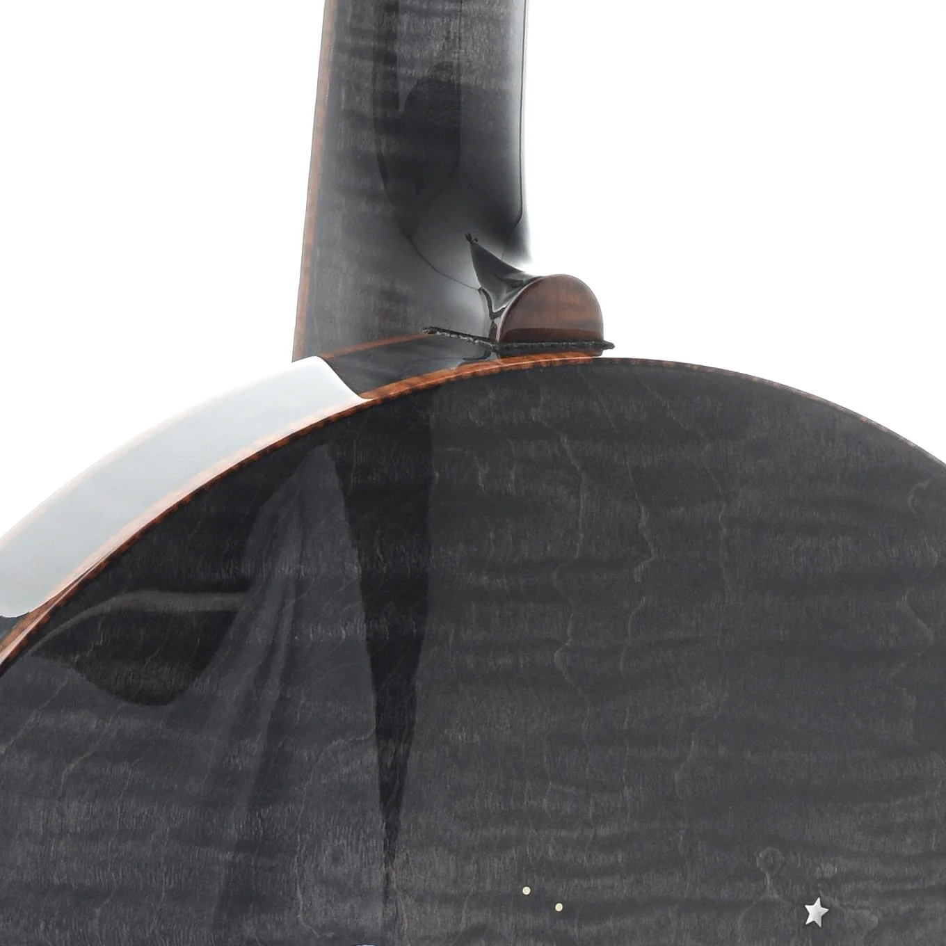 Bishline Midnight Moon Resonator Banjo & Case - Image 9