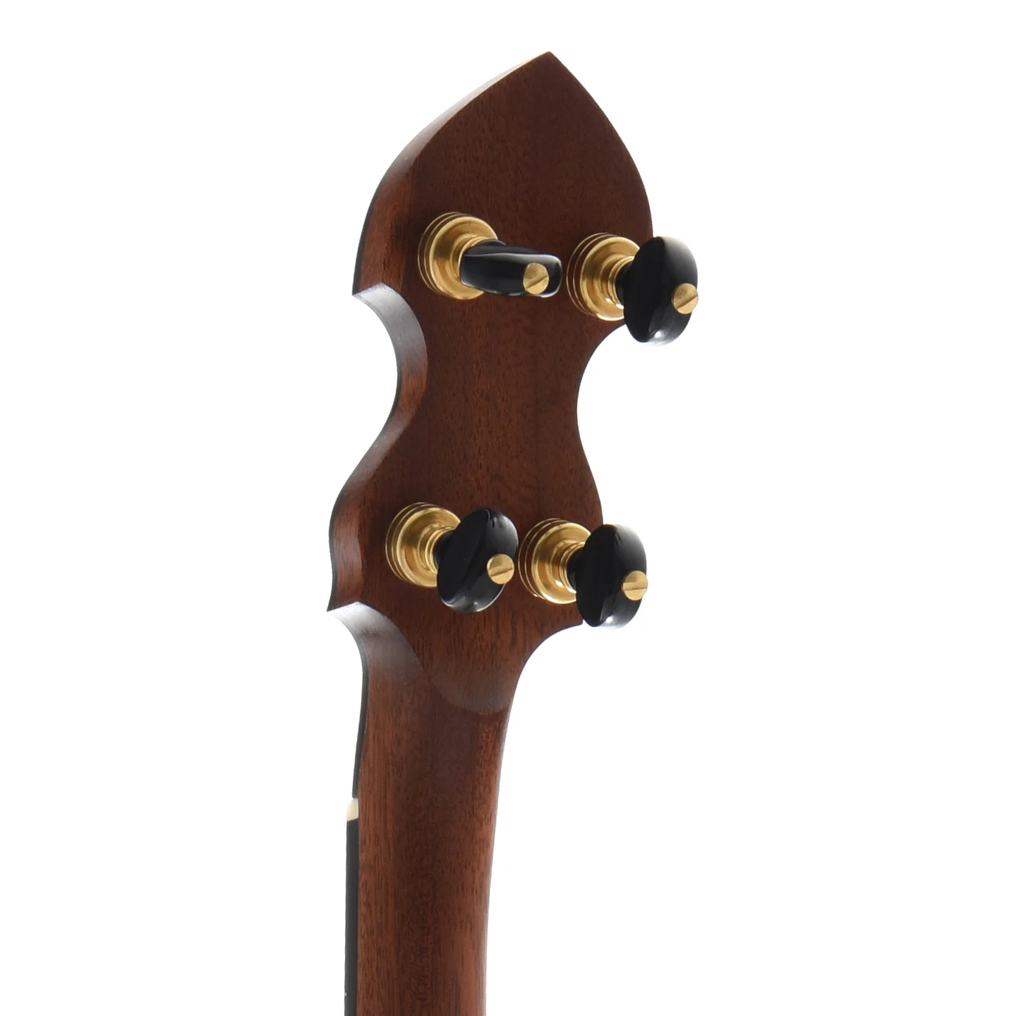 Bishline Okie Openback Banjo & Case - Image 8