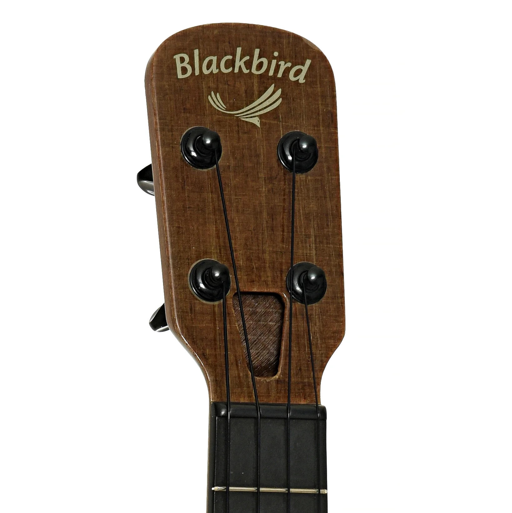 Blackbird Clara Concert Ukulele (c.2019) - Image 8