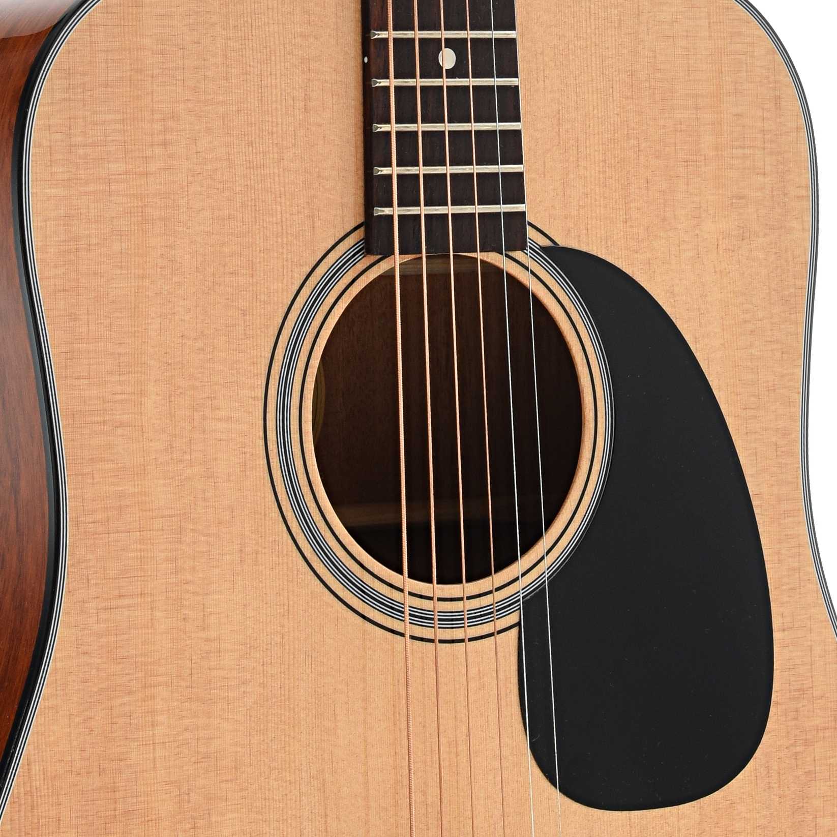 Blueridge Contemporary Series BR-40 Dreadnought Guitar & Gigbag - Image 6