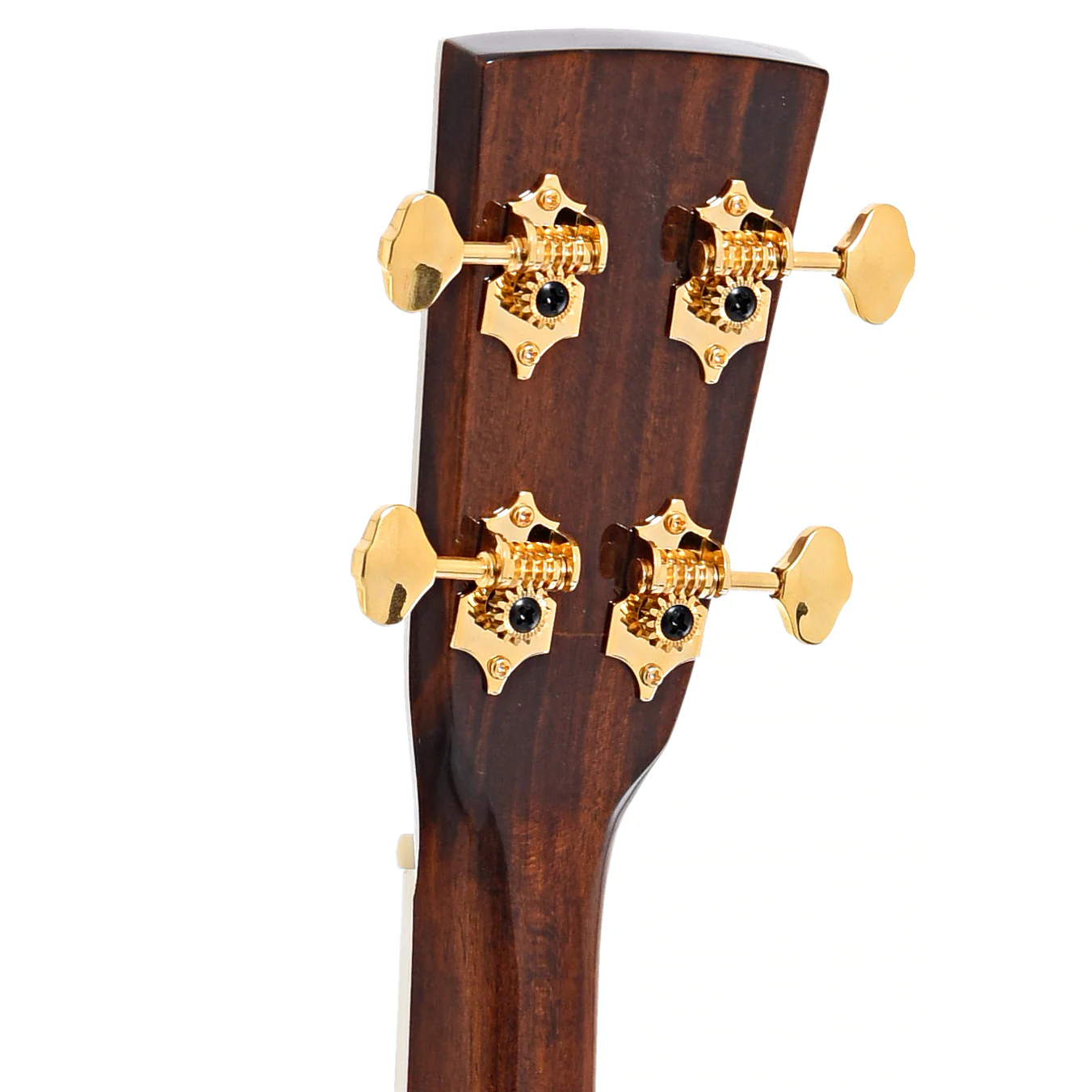 Blueridge Contemporary Series BR-70T Tenor Guitar & Gigbag - Image 10