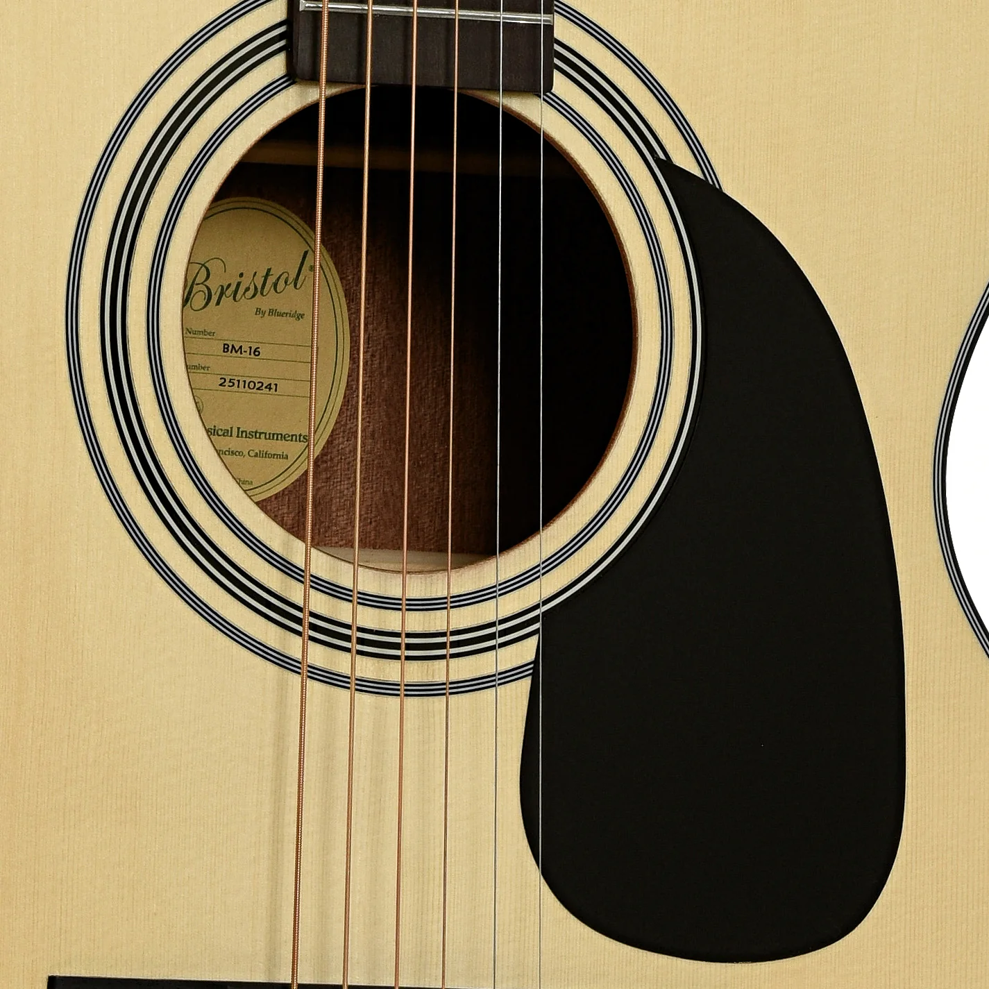 Bristol BM-16 000 Guitar & Gigbag - Image 5