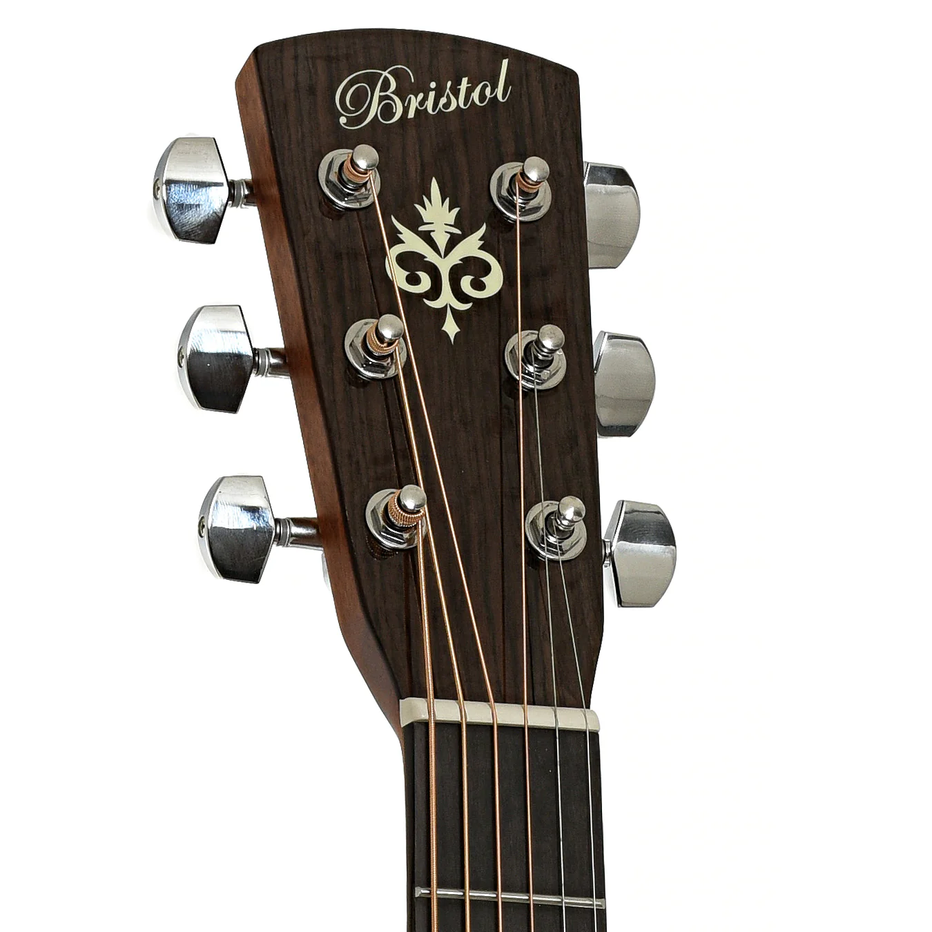 Bristol BM-16 000 Guitar & Gigbag - Image 8