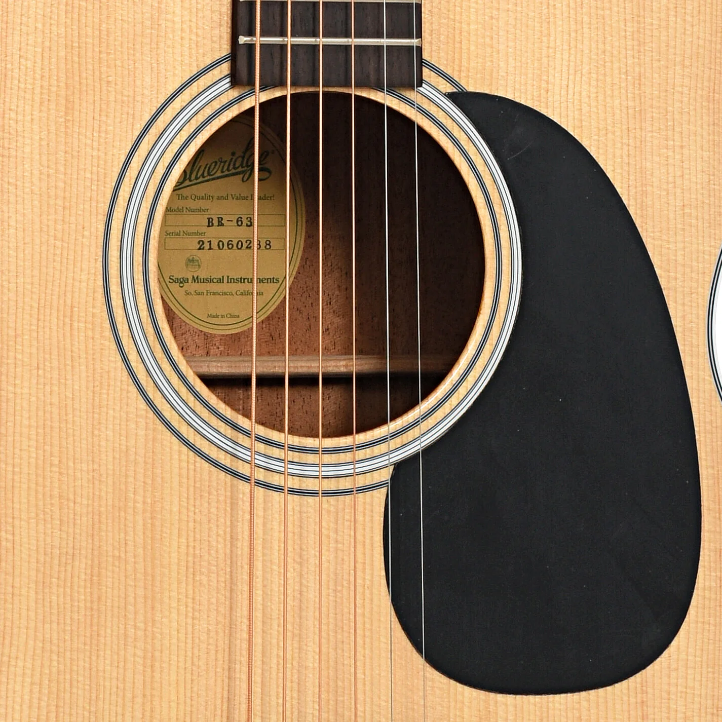 Blueridge Contemporary Series BR-63 000 Acoustic Guitar & Gigbag - Image 6