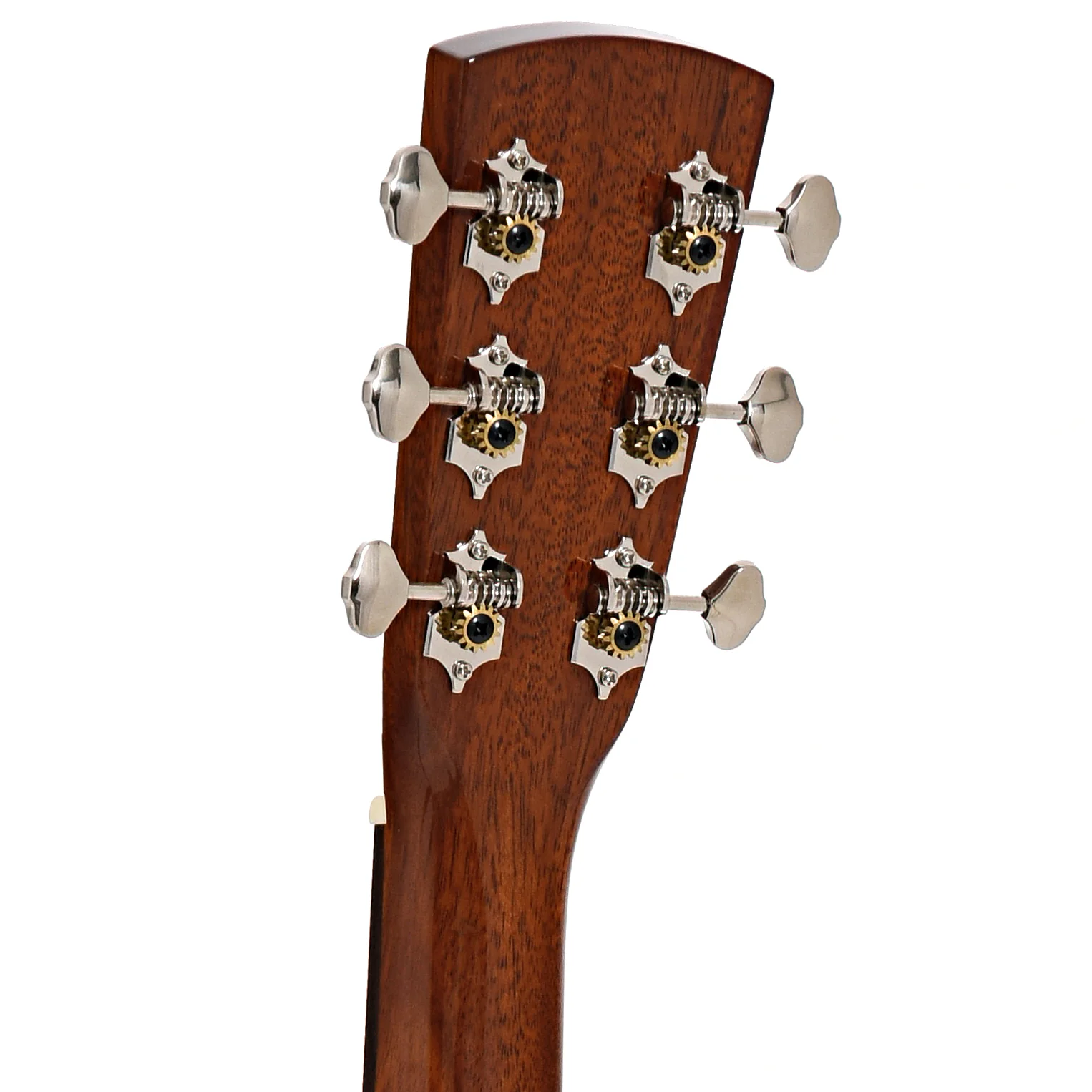 Blueridge Contemporary Series BR-63 000 Acoustic Guitar & Gigbag - Image 9