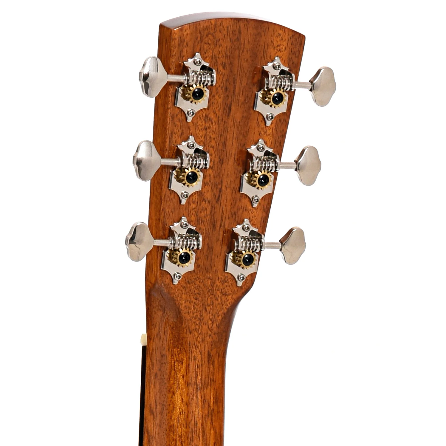 Blueridge Historic Series BR-163CE Acoustic-Electric Guitar & Gigibag - Image 8