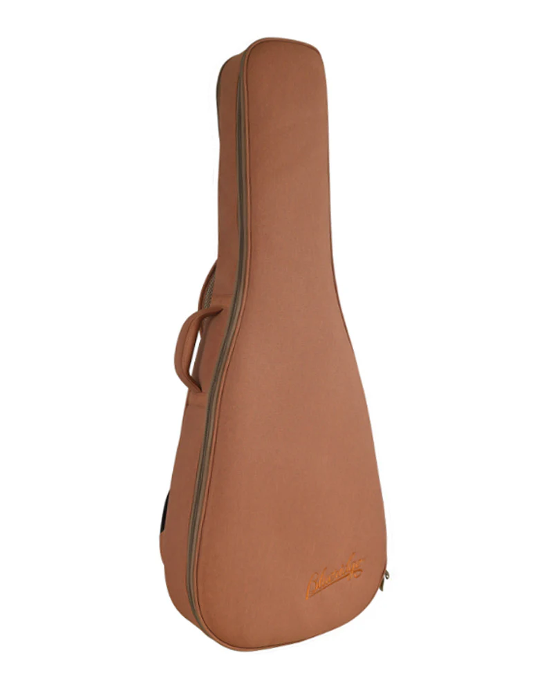 Blueridge Historic Series BR-341 Style-0 Parlor Acoustic Guitar & Gigbag - Image 4