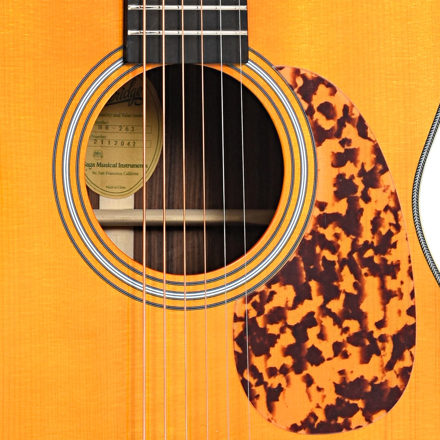 Blueridge Prewar Series BR-263 000 Acoustic Guitar & Gigbag - Image 6