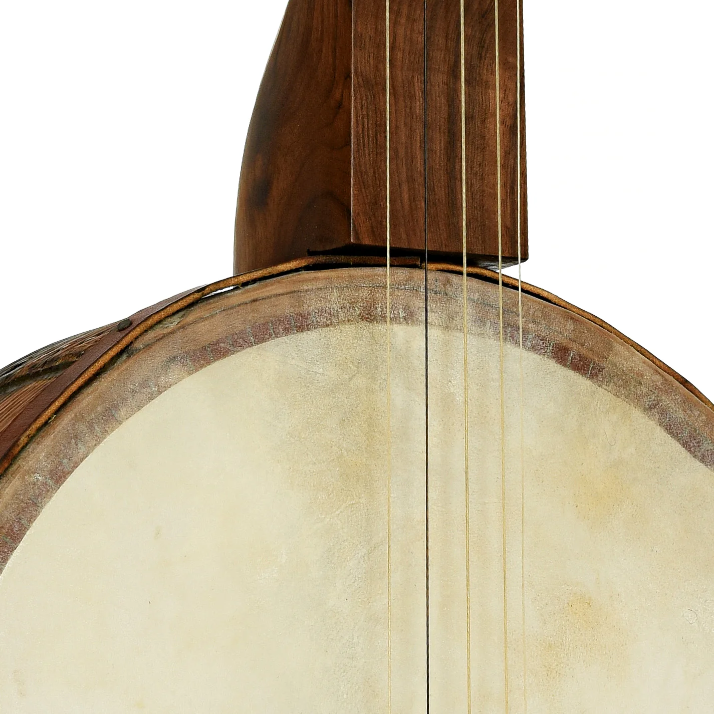 Bob Thornburg Grain Measure Minstrel Openback Banjo (2014) - Image 6