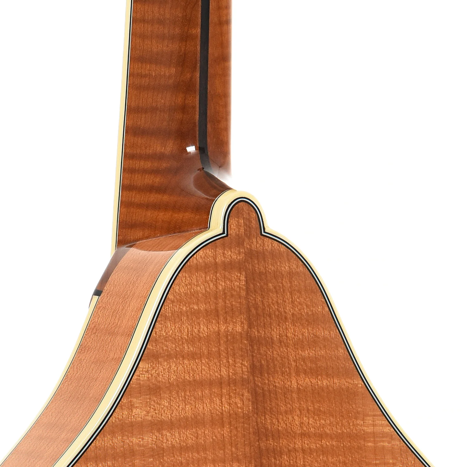 Bourgeois M5A Mandolin - Image 10