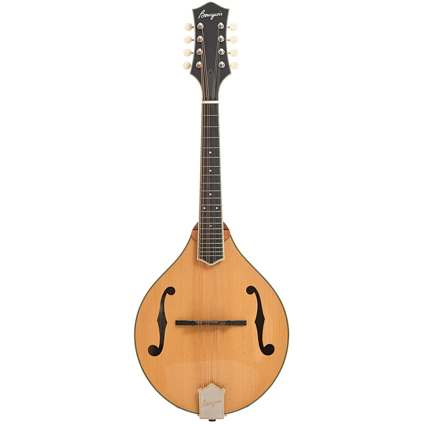 Bourgeois M5A Mandolin - Image 14