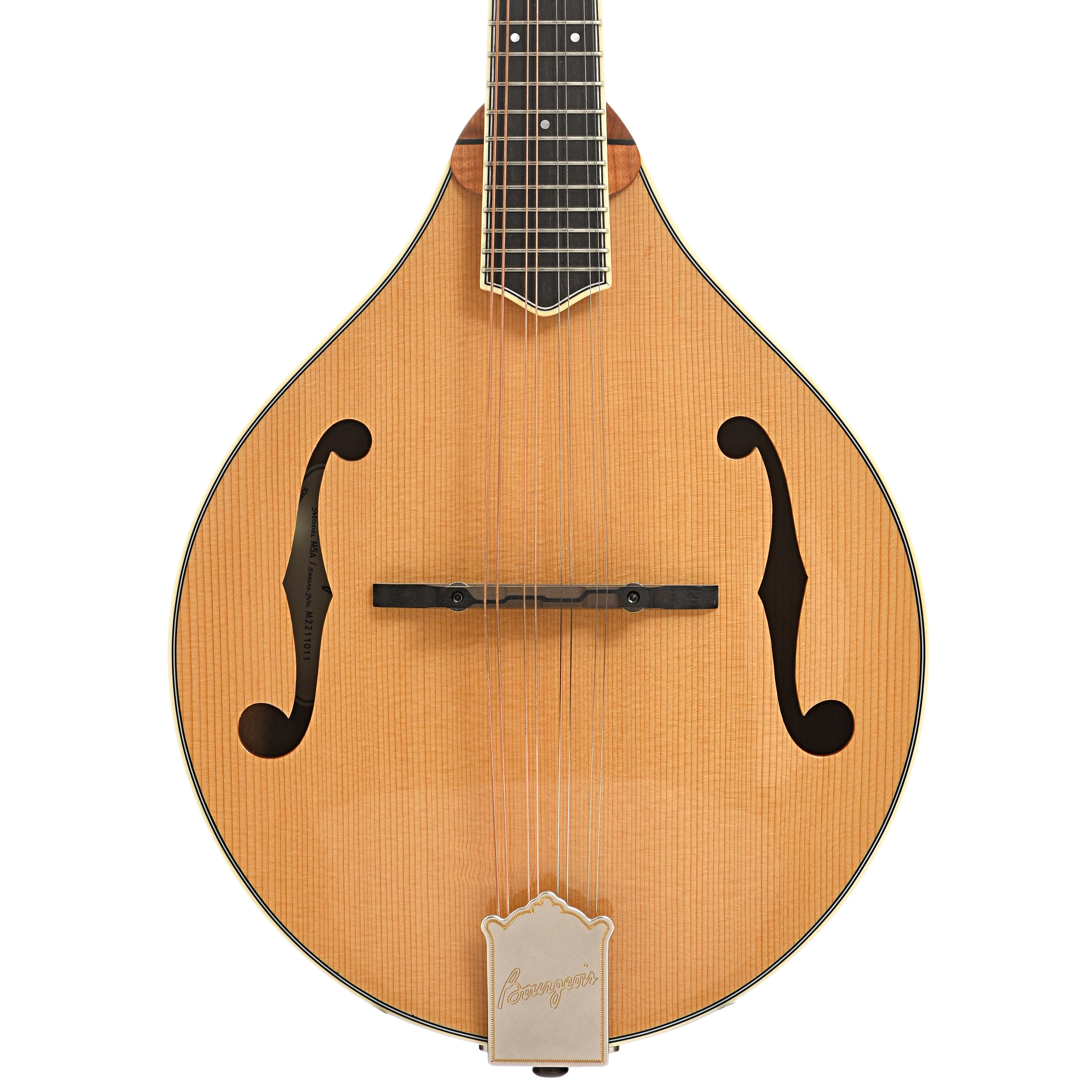 Bourgeois M5A Mandolin - Image 2