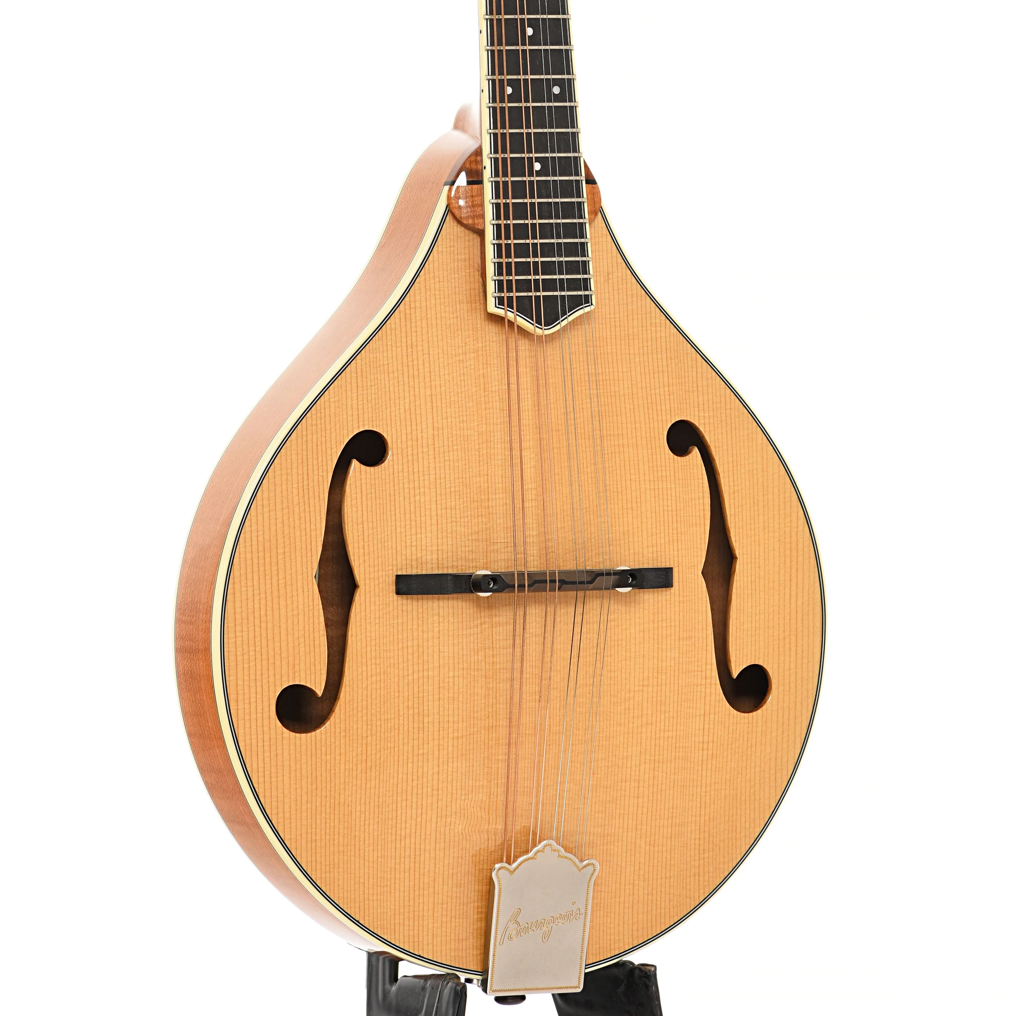 Bourgeois M5A Mandolin - Image 4