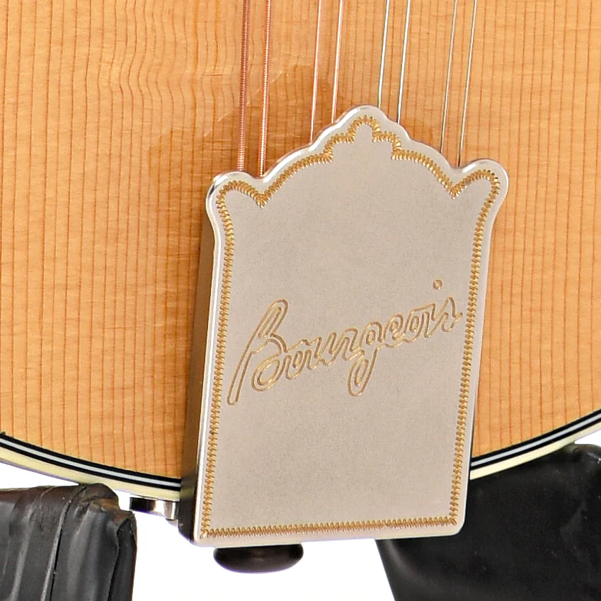 Bourgeois M5A Mandolin - Image 5