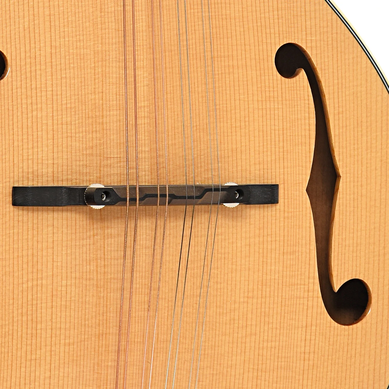Bourgeois M5A Mandolin - Image 6
