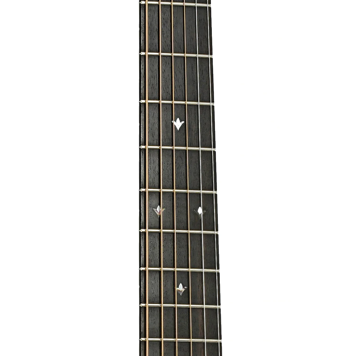 Chris Bozung Vintage J Acoustic Guitar (2011) - Image 7