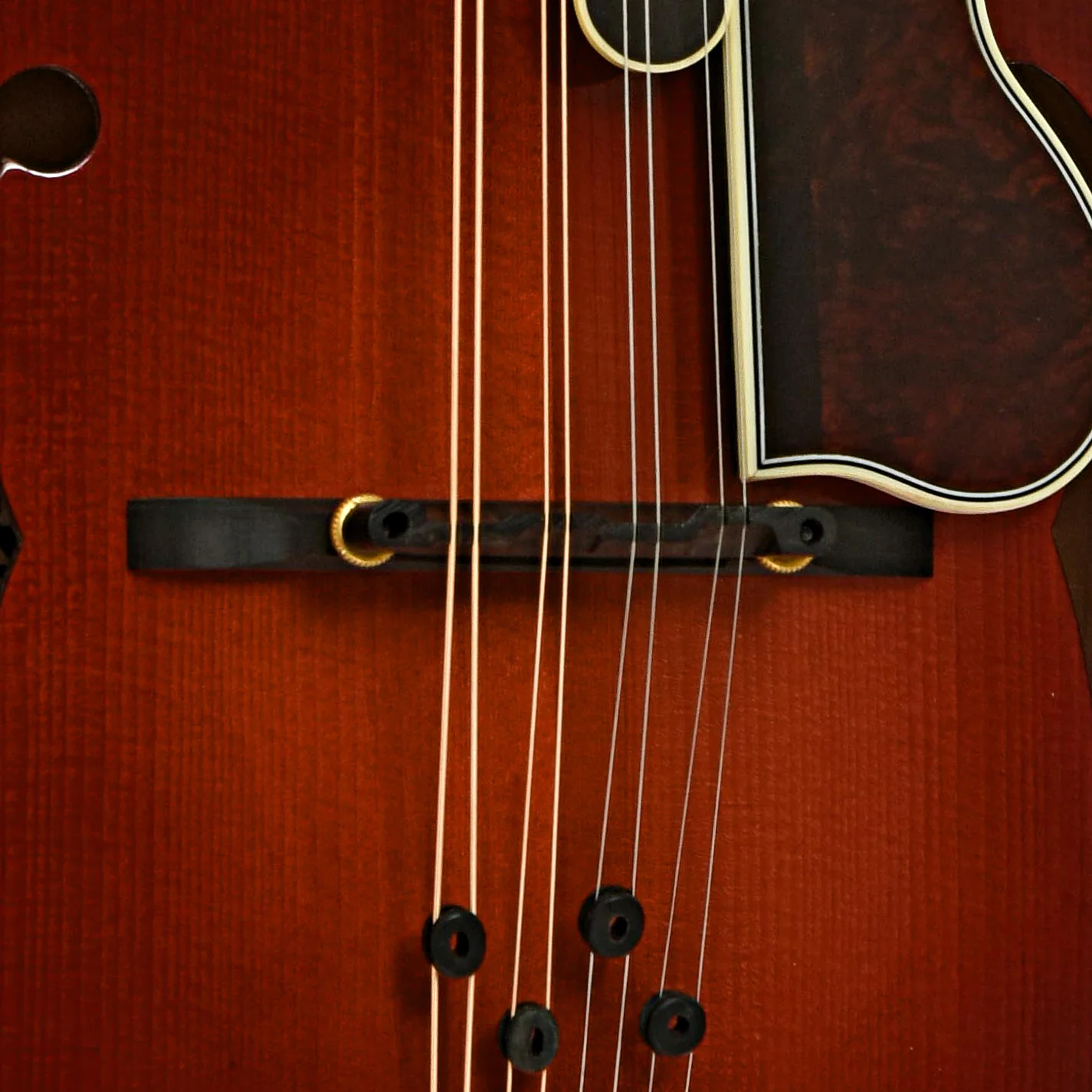 Bradley Hill F-Style Mandolin (2005) - Image 6