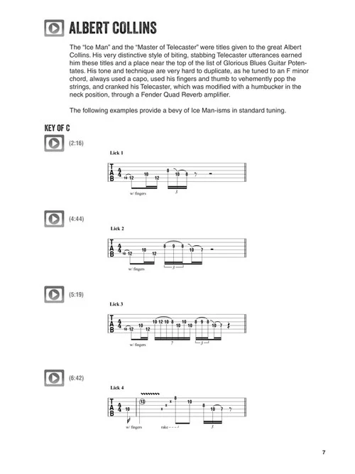 Brave New Blues Guitar - Classic Styles, Techniques & Licks Reimagined with a Modern Feel - Image 4