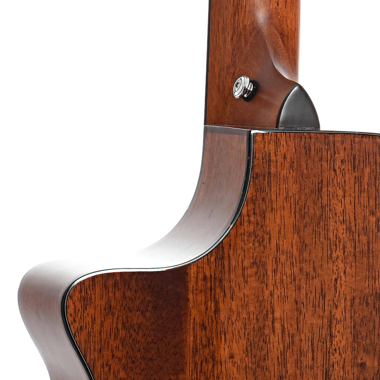 Breedlove BJ350/SM4 Acoustic-Electric Bass (2009) - Image 14