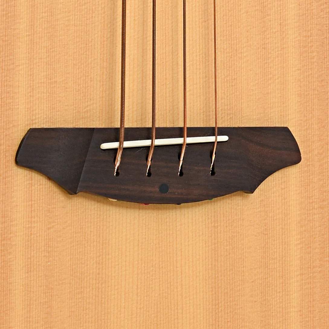 Breedlove BJ350/SM4 Acoustic-Electric Bass (2009) - Image 5