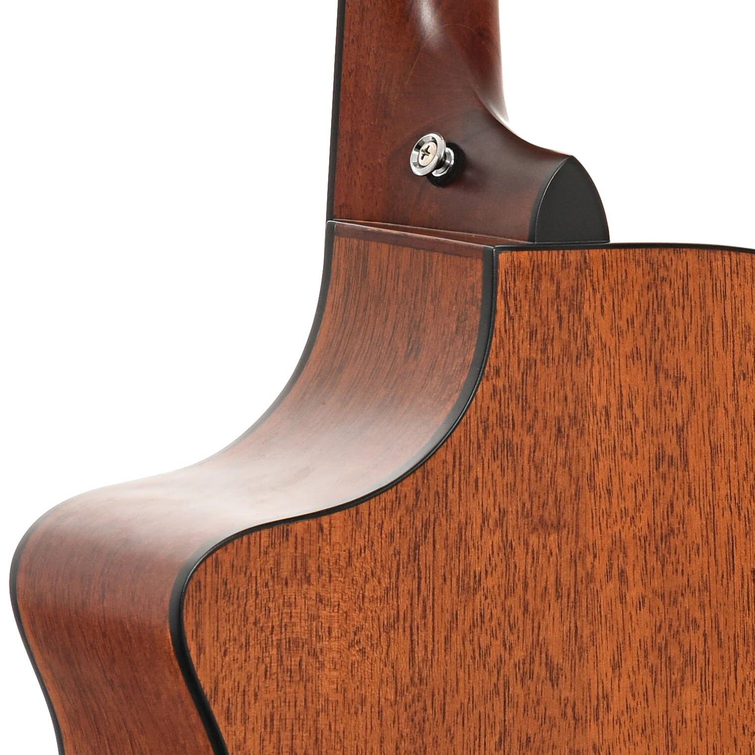 Breedlove Atlas Solo C350/Me Acoustic-Electric Guitar (2011) - Image 10