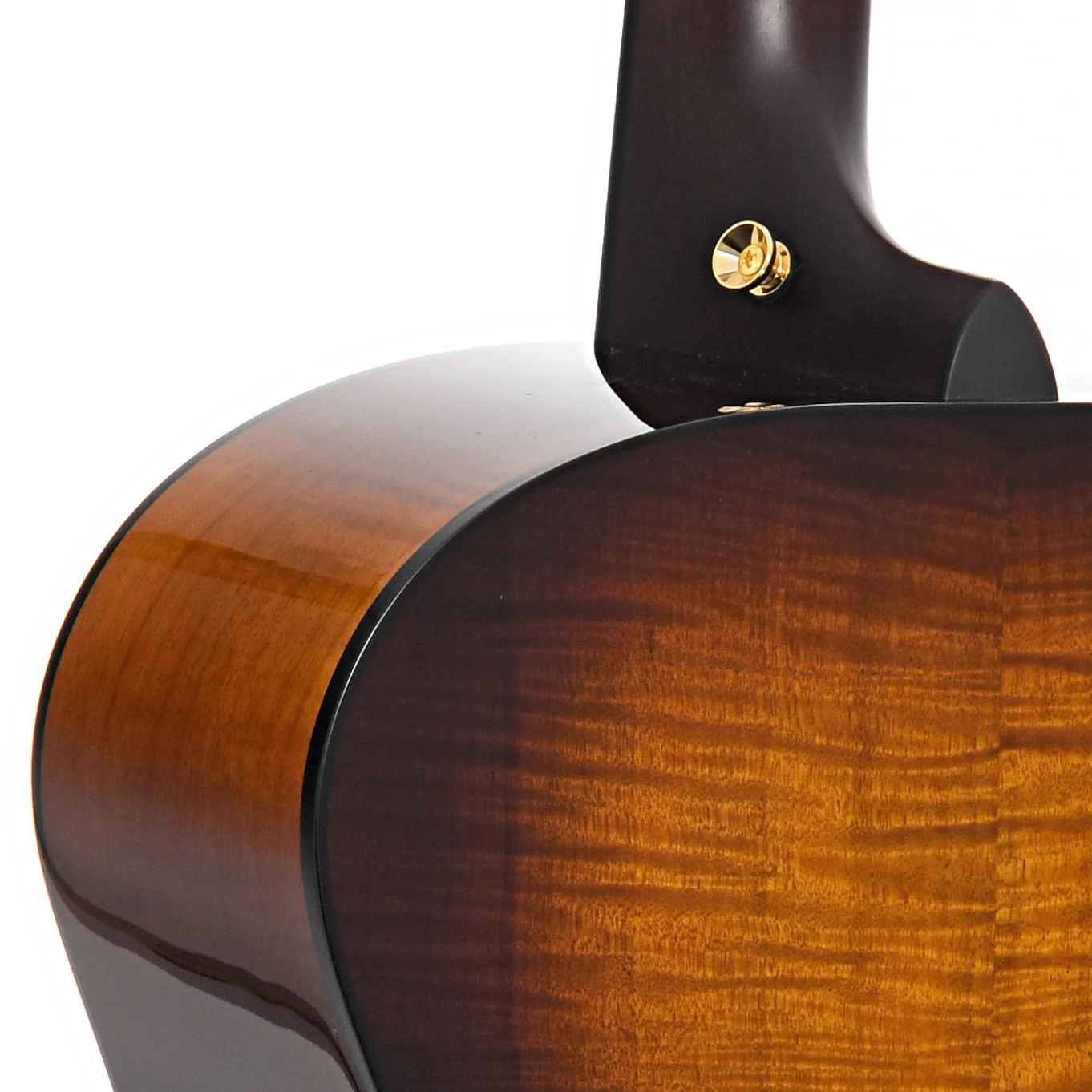 Breedlove Elderly 50th Anniversary Custom Concerto Acoustic Guitar - Image 10
