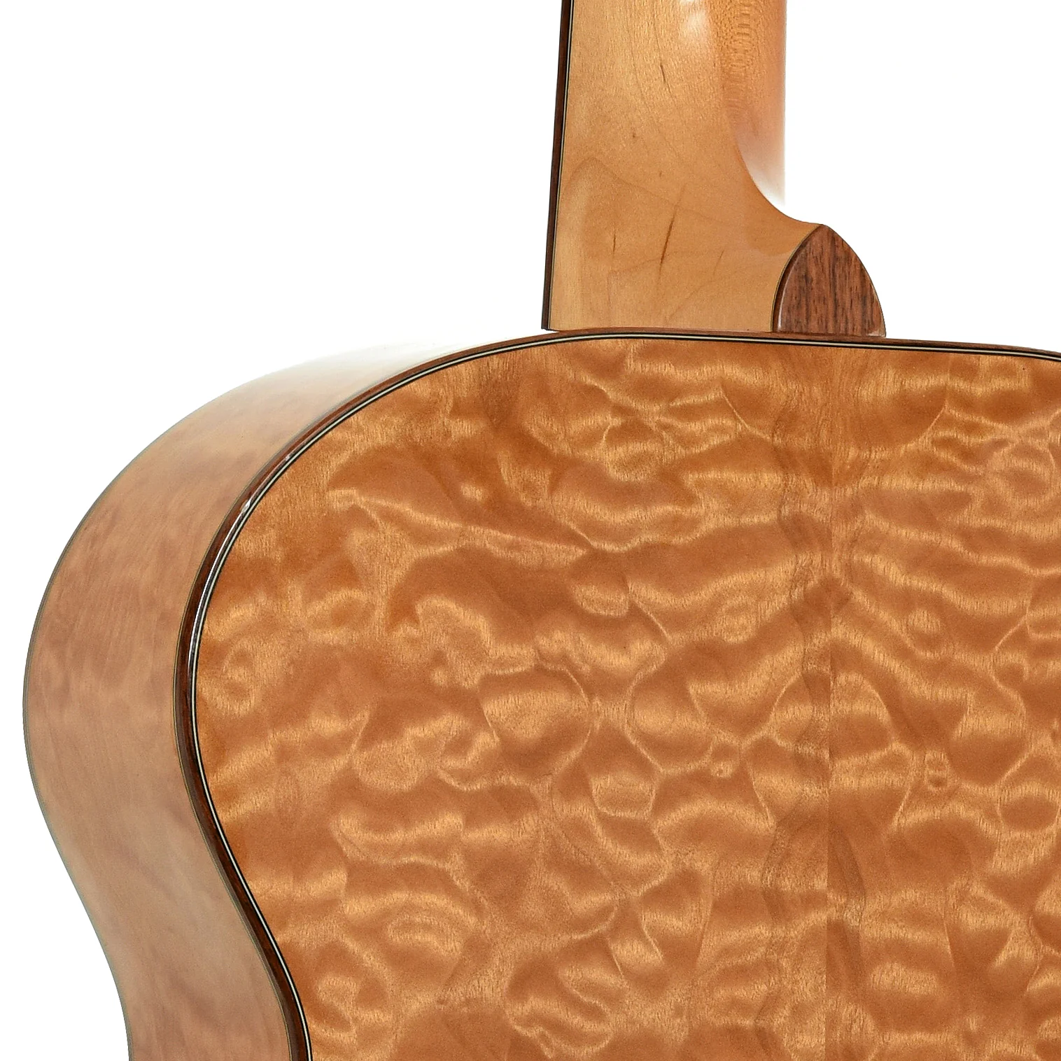 Breedlove J-20 / Mp Acoustic Guitar (c.1998) - Image 10
