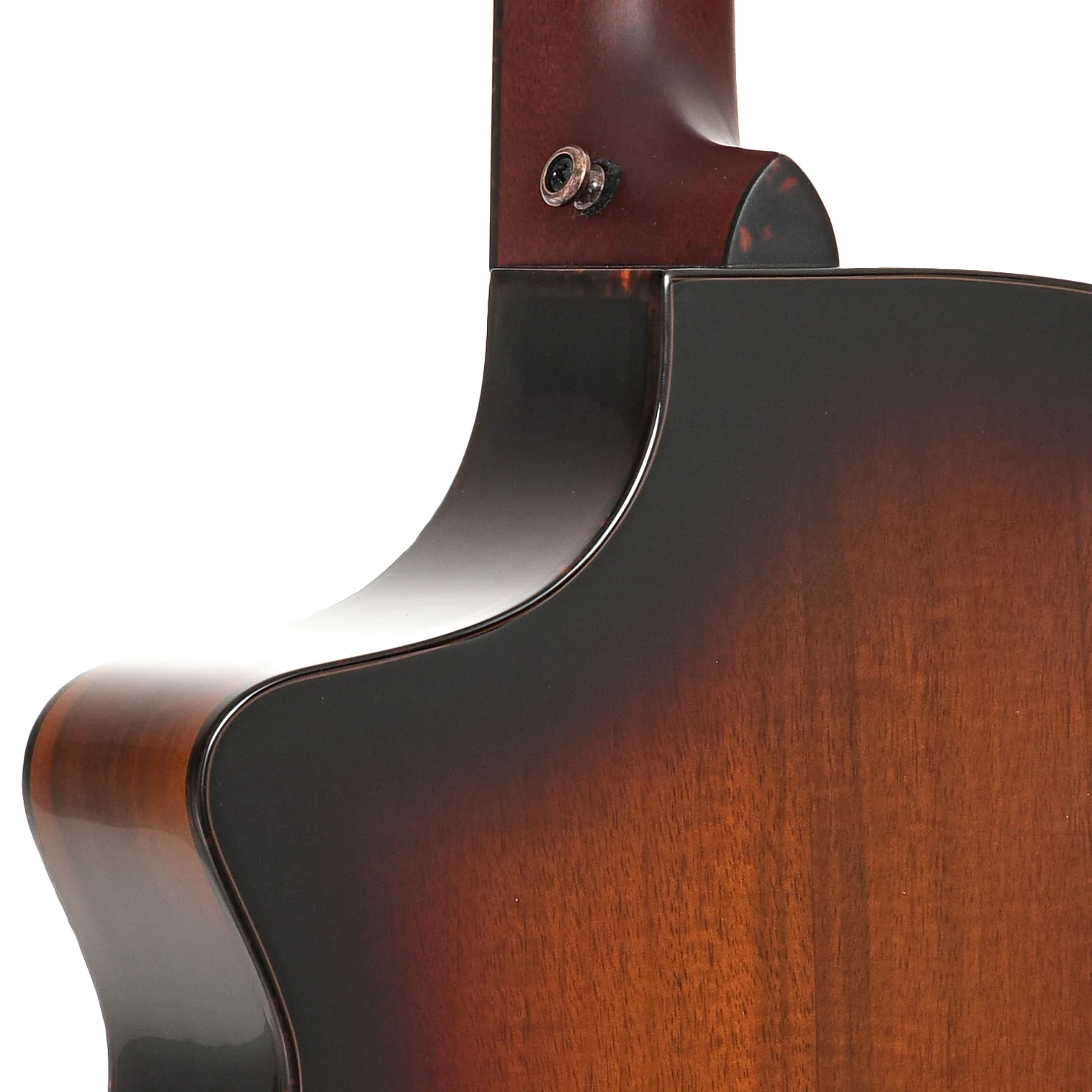 Breedlove Limited Edition Pursuit Exotic S Concert Canyon CE - Image 10