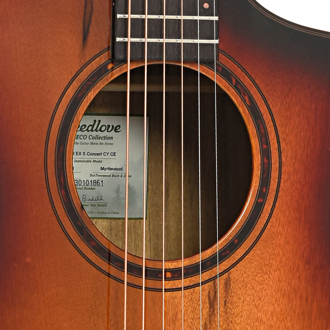 Breedlove Limited Edition Pursuit Exotic S Concert Canyon CE - Image 6