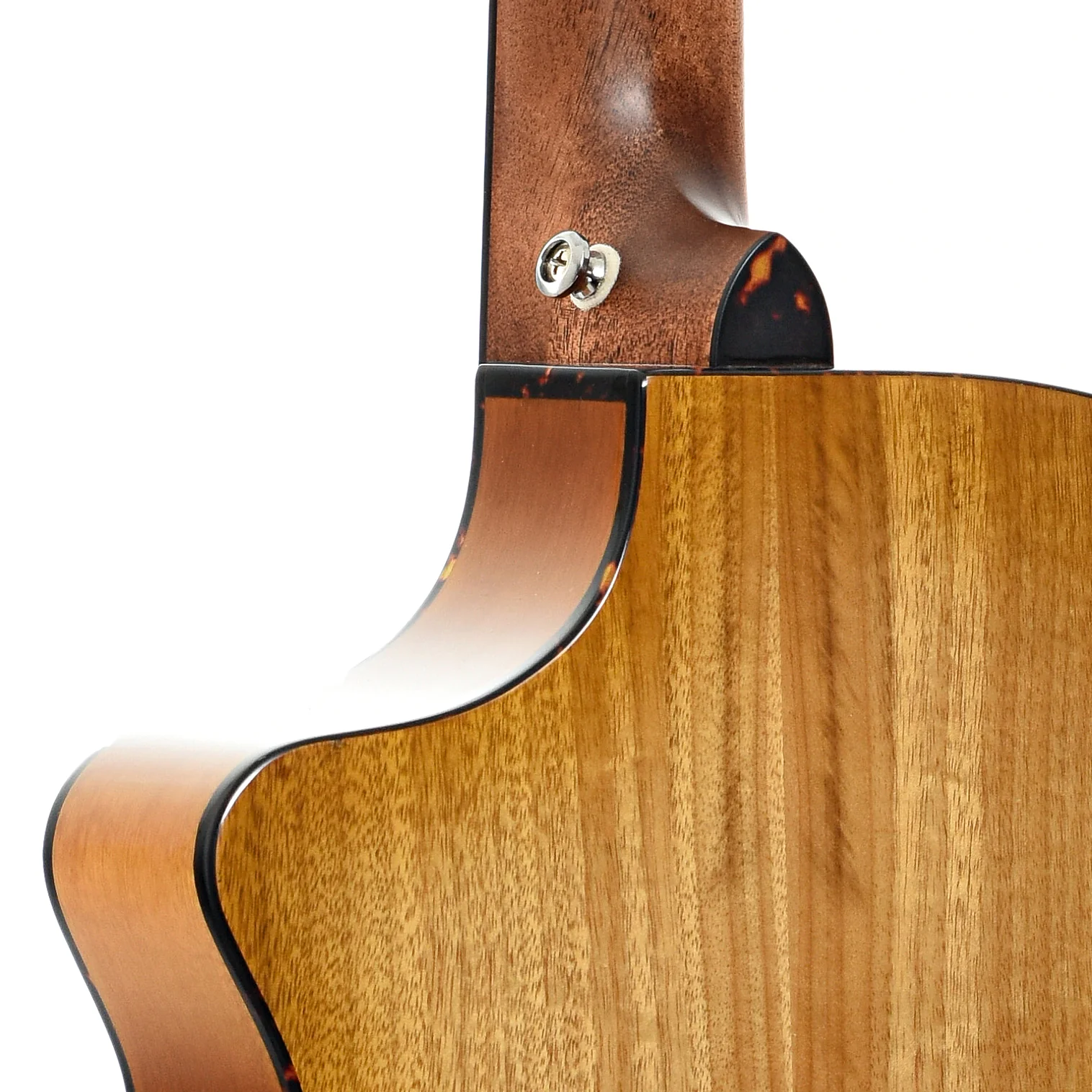 Breedlove Pursuit EX Companion CE MMP Acoustic Guitar (c. 2019) - Image 10