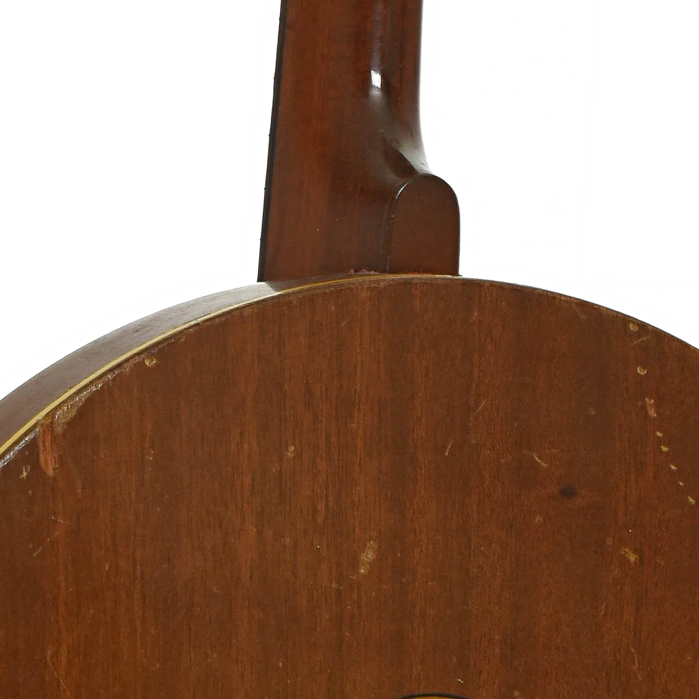 Bruno Glee Club Tenor Banjo (c.1926) - Image 12
