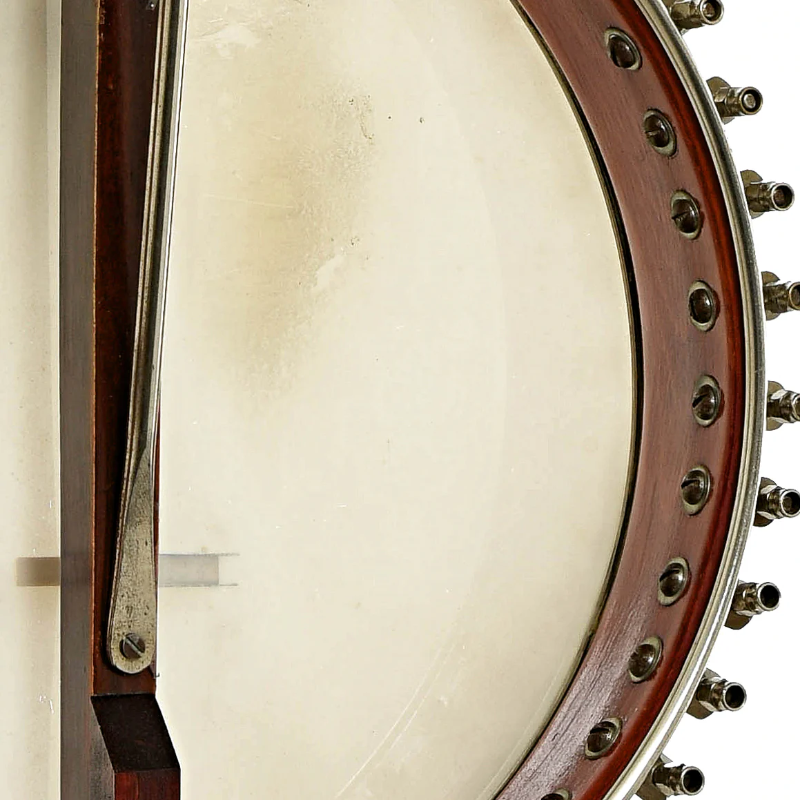 Bruno Open Back Banjo (c.1926) - Image 10