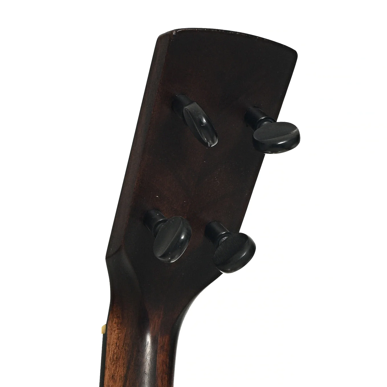 Buckbee-Style Dobson Custom Open-back Banjo (Recent) - Image 9