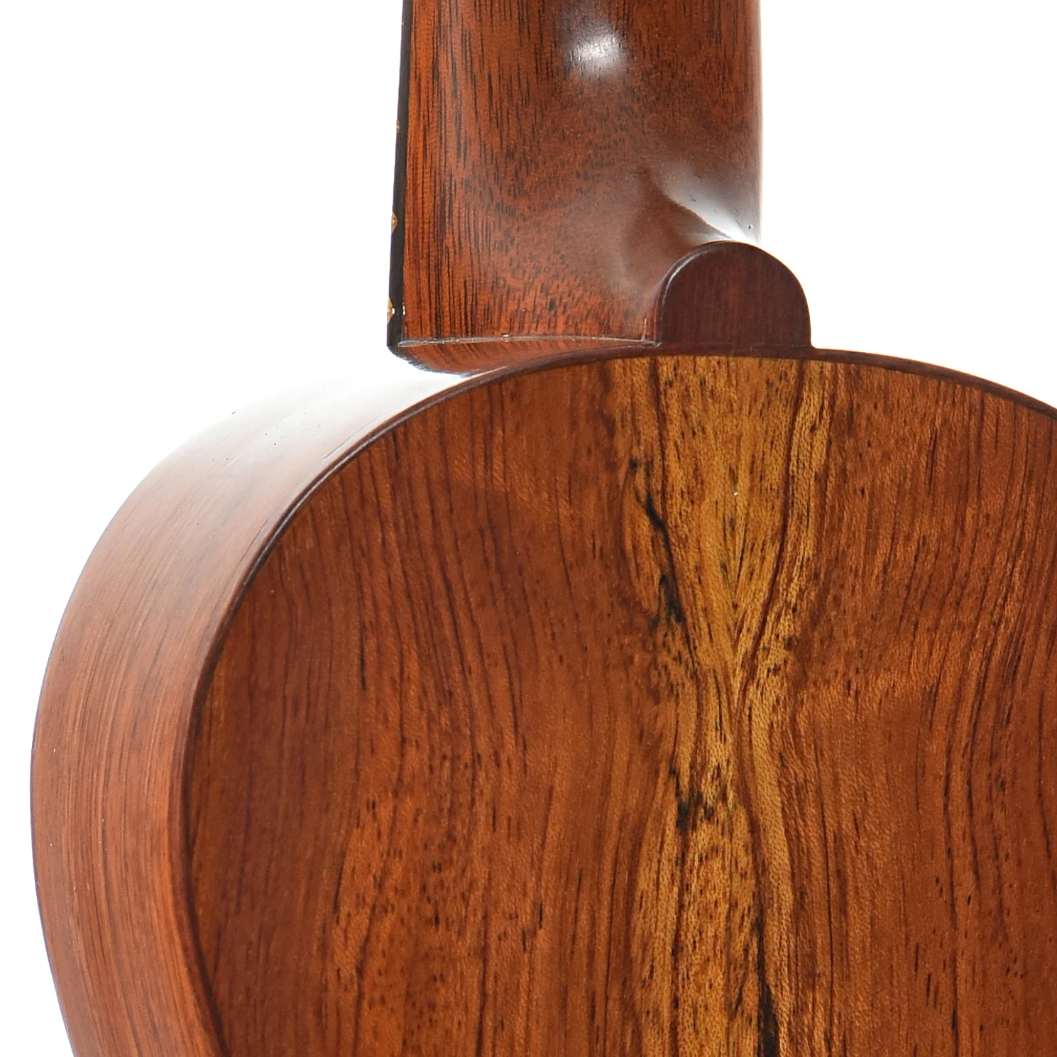 C.F. Vega Soprano Ukulele (2004) - Image 10
