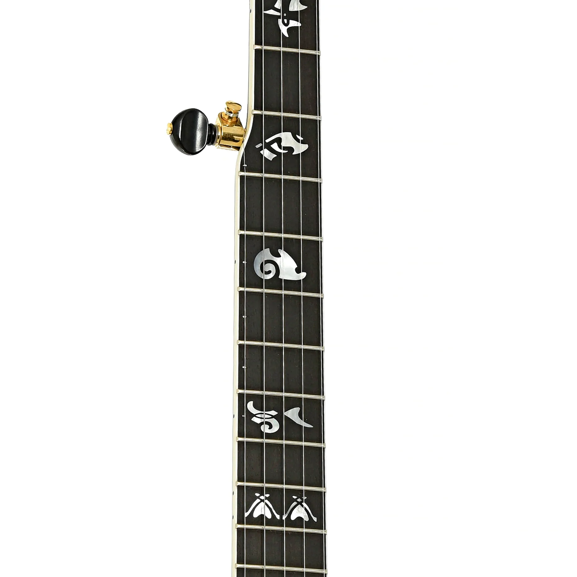 Capek Allegoria Gold Resonator Banjo & Case, Flame Maple - Image 7