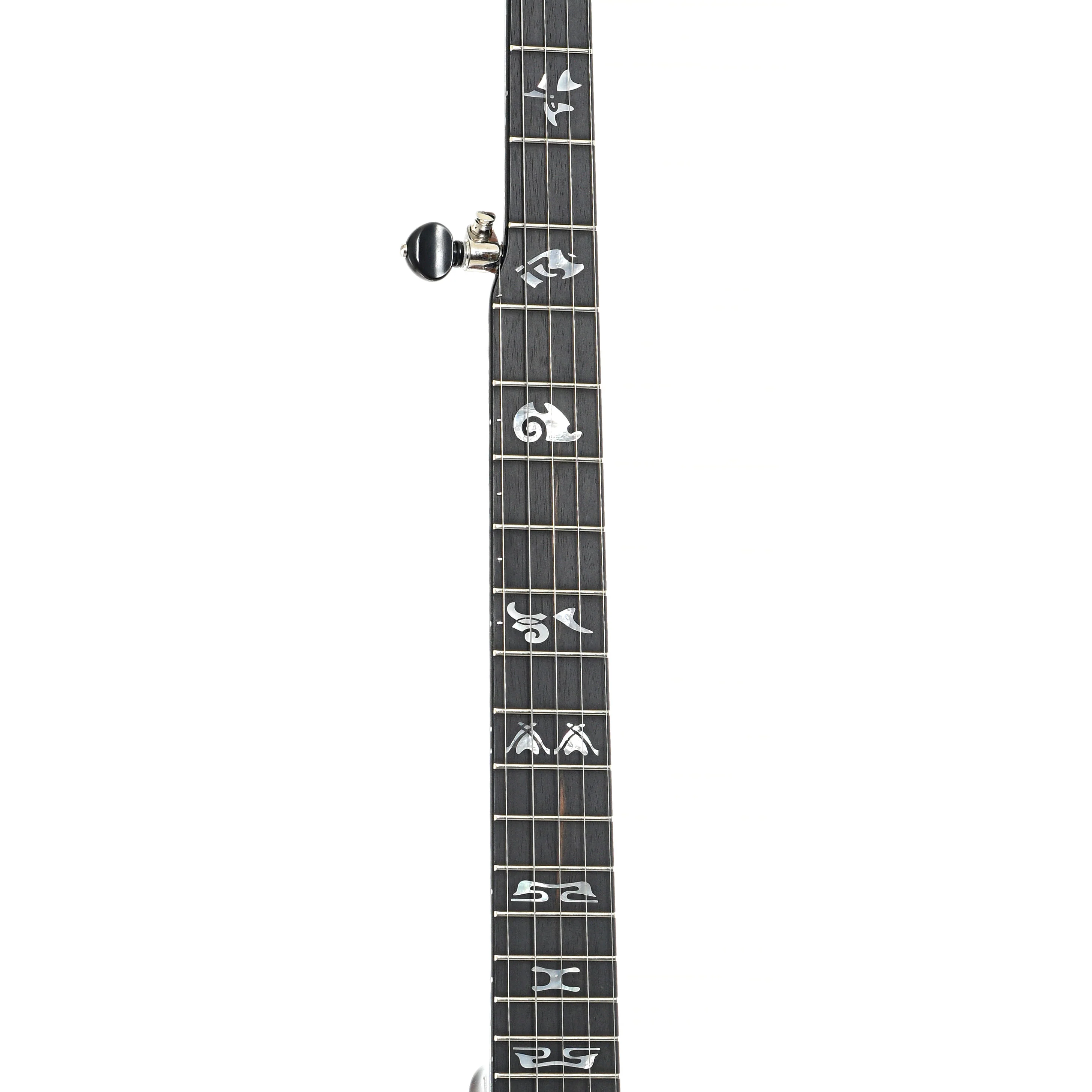 Capek Allegoria Nickel Resonator Banjo & Gigbag, Flame Maple - Image 7