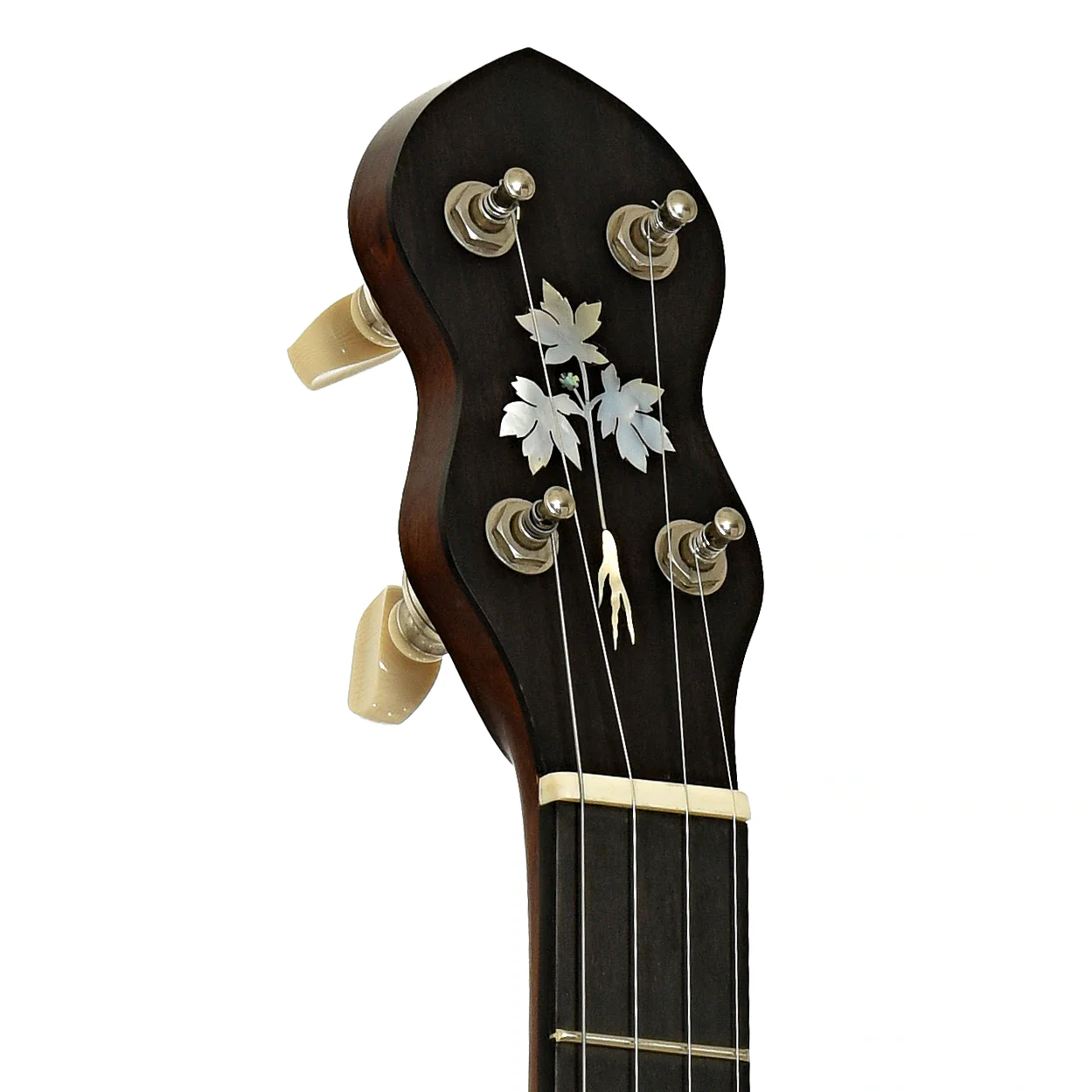 Cedar Mountain A1V Appalachian Open Back Banjo (c.2011) - Image 8