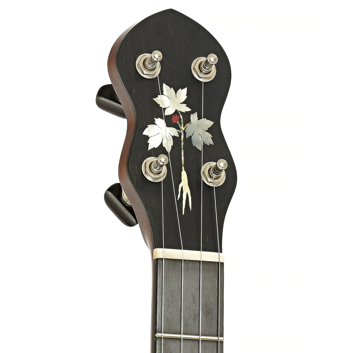 Cedar Mountain A2 Appalachia LH 5-String Banjo (2000s) - Image 8