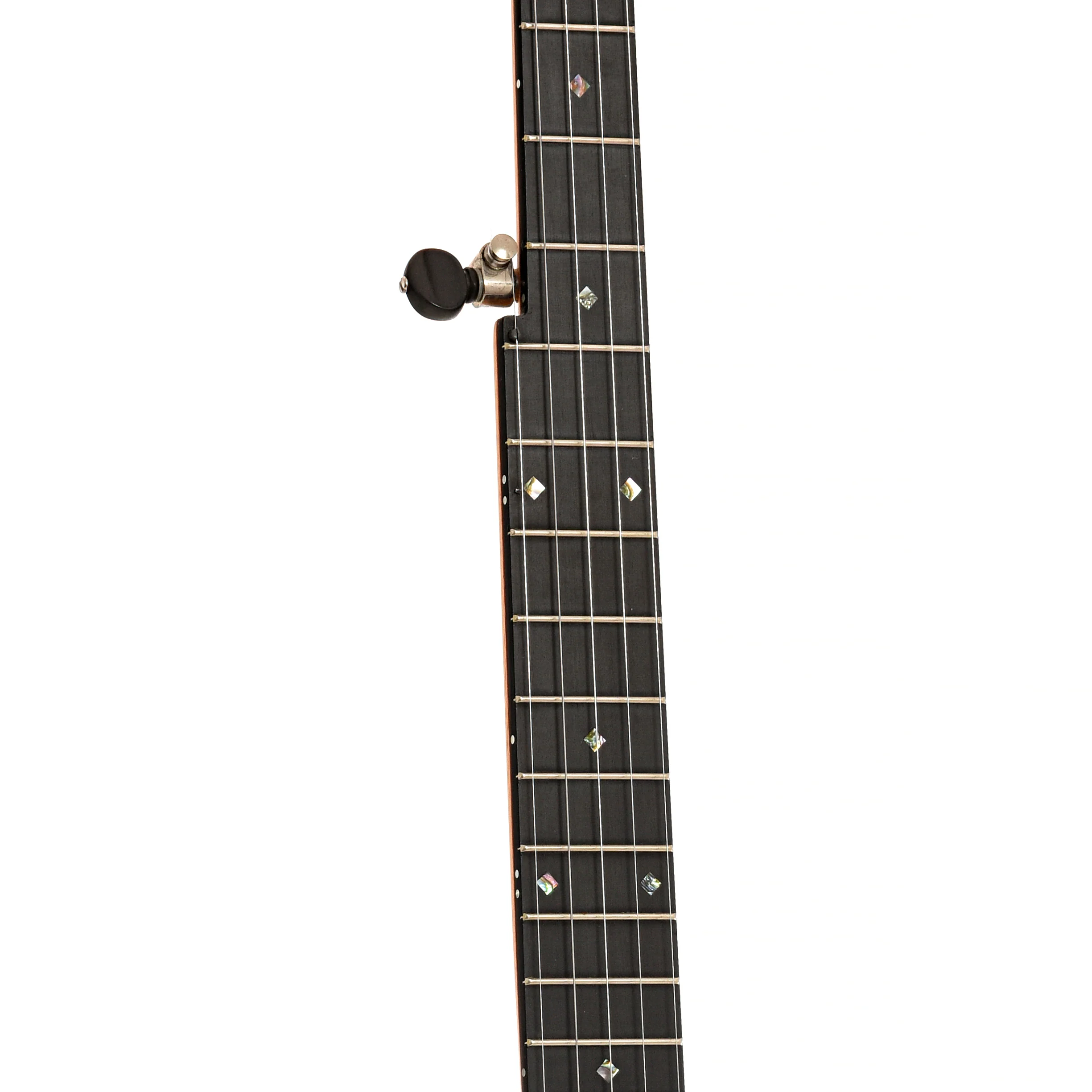 Cedar Mountain JV Custom 5-String Open Back Banjo (2000s) - Image 7