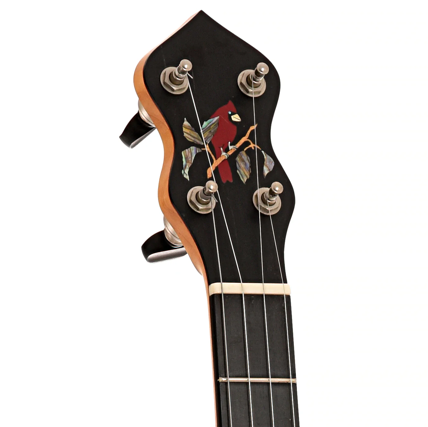 Cedar Mountain JV Custom 5-String Open Back Banjo (2000s) - Image 8