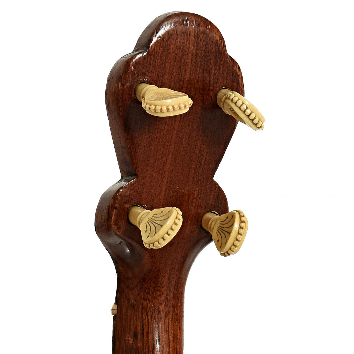 Benary-Style Fretless Banjo (1890's) - Image 9