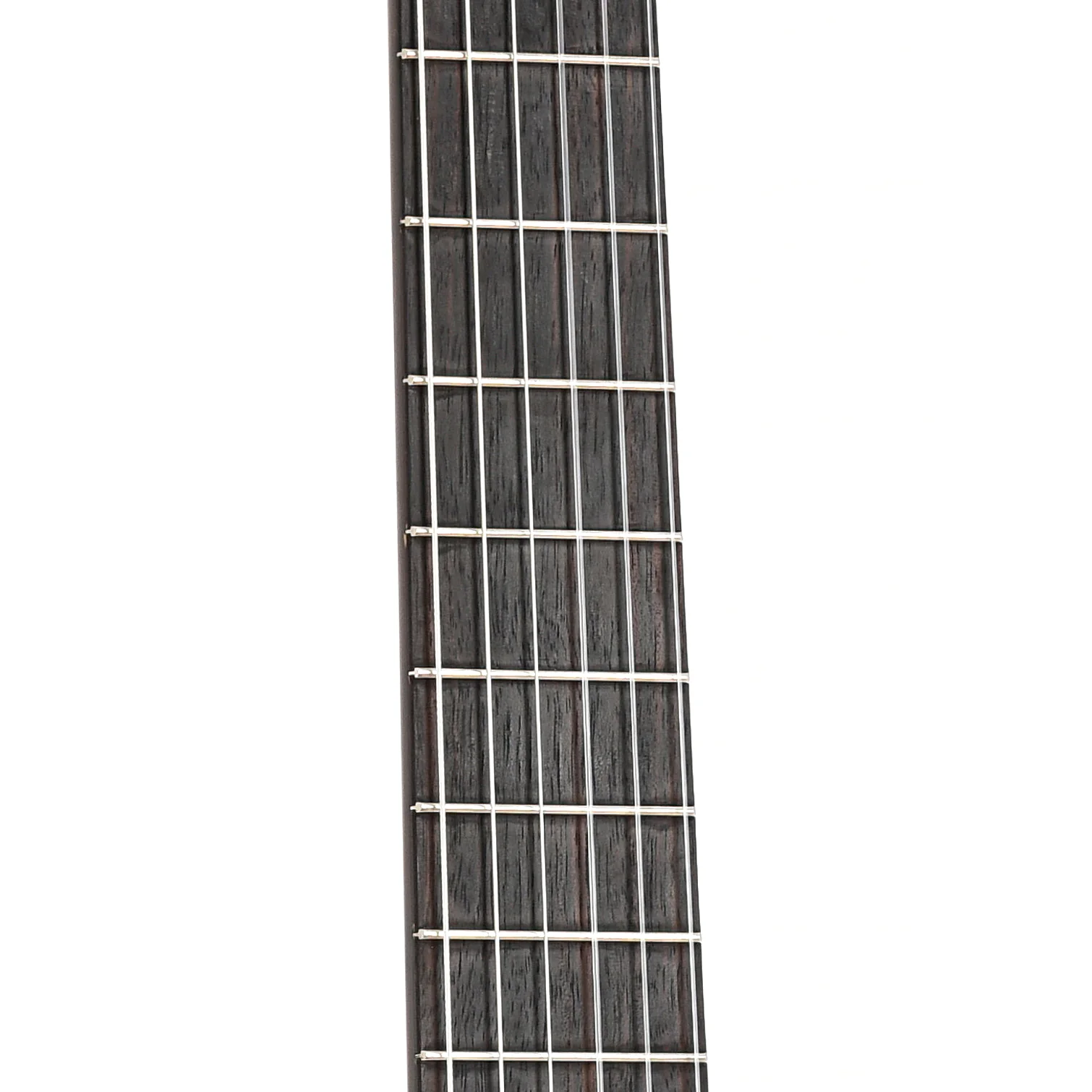 Cervantes Hauser Concert Series Classical Guitar (2006) - Image 6