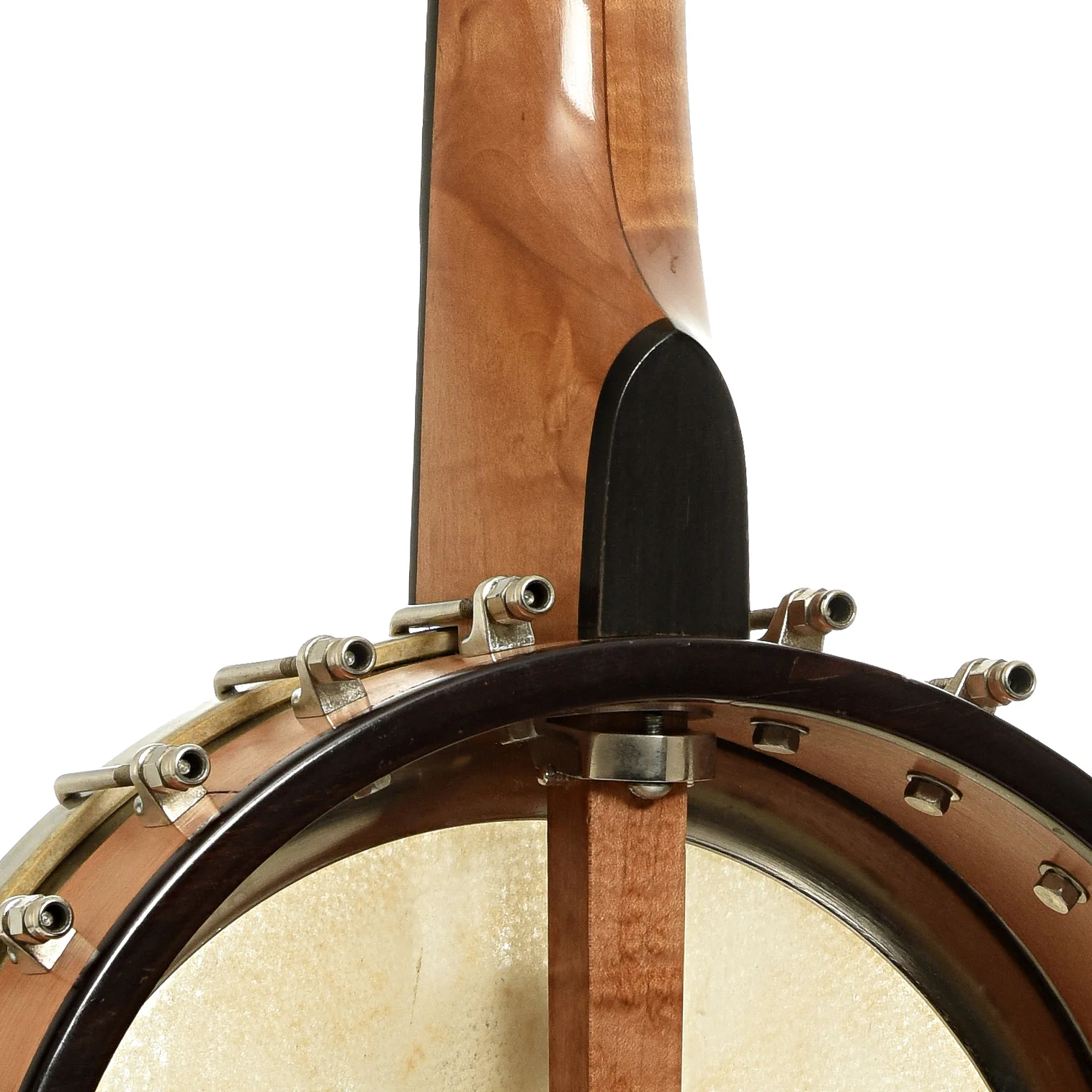 Chanterelle Mike Ramsey Bacon Model Timeless Timber Test Openback Banjo (2004) - Image 11
