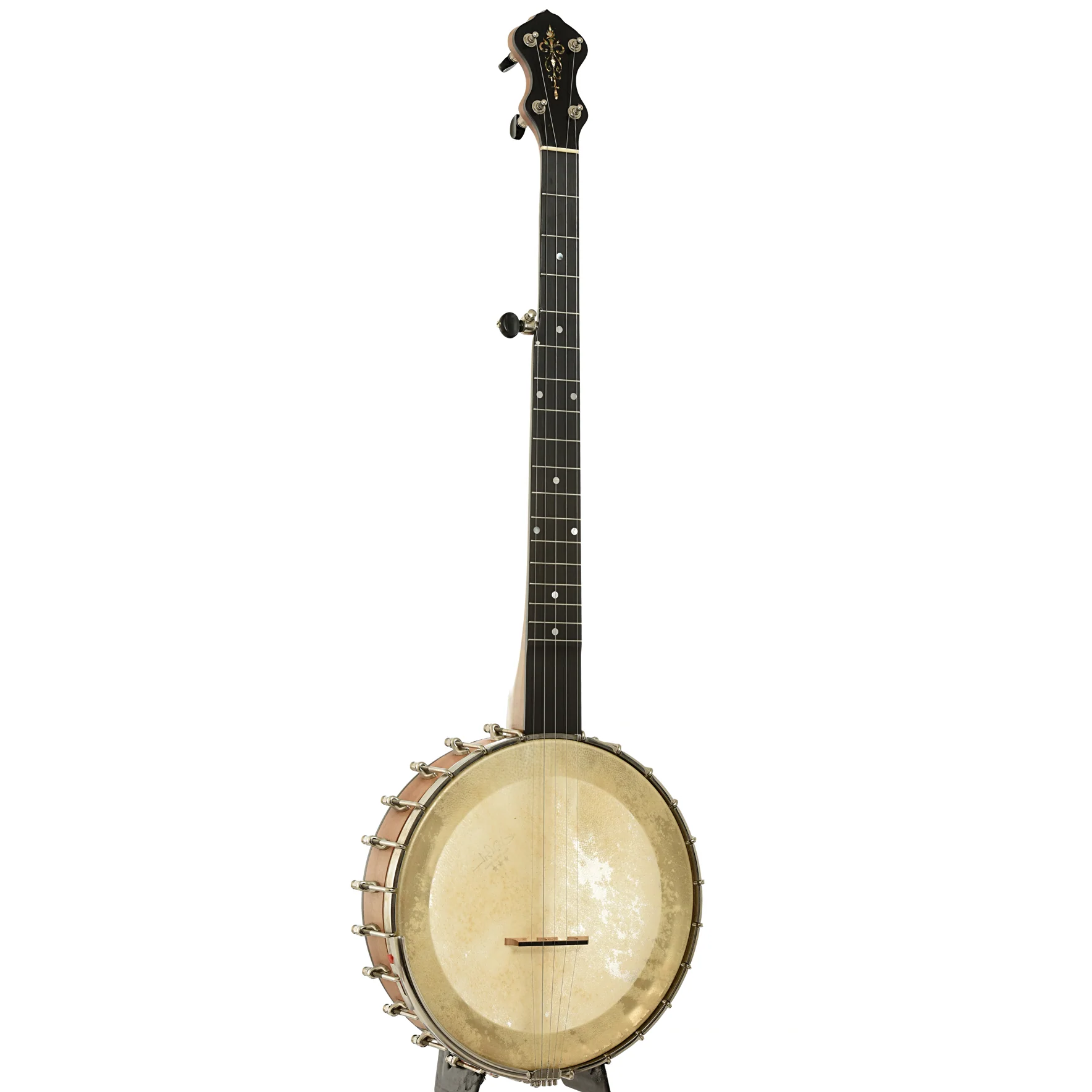 Chanterelle Mike Ramsey Bacon Model Timeless Timber Test Openback Banjo (2004) - Image 3