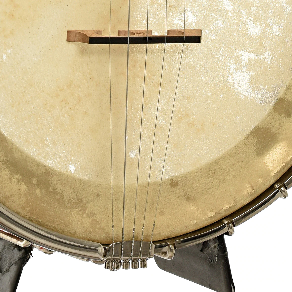 Chanterelle Mike Ramsey Bacon Model Timeless Timber Test Openback Banjo (2004) - Image 5