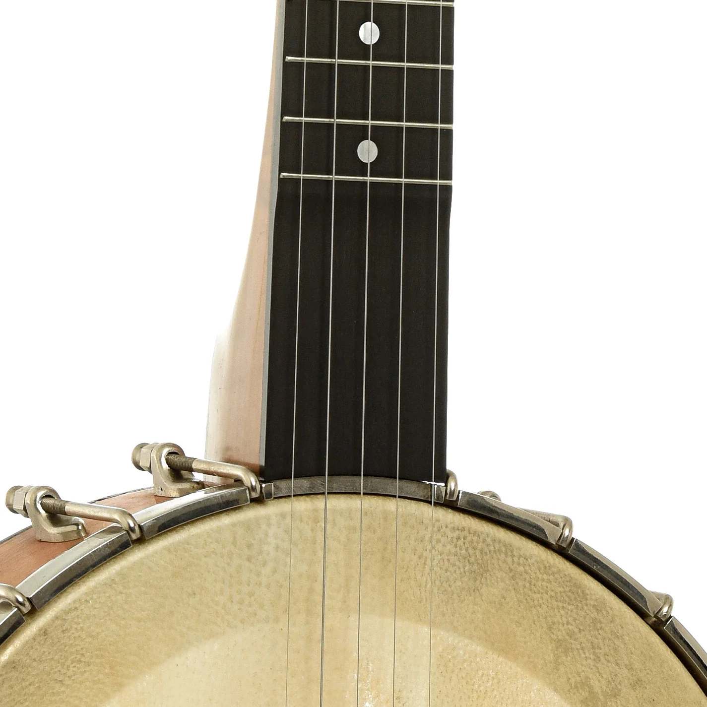 Chanterelle Mike Ramsey Bacon Model Timeless Timber Test Openback Banjo (2004) - Image 6
