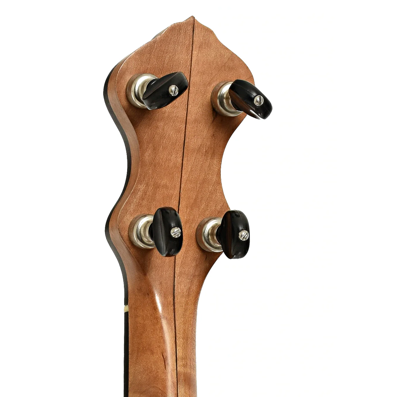 Chanterelle Mike Ramsey Bacon Model Timeless Timber Test Openback Banjo (2004) - Image 9
