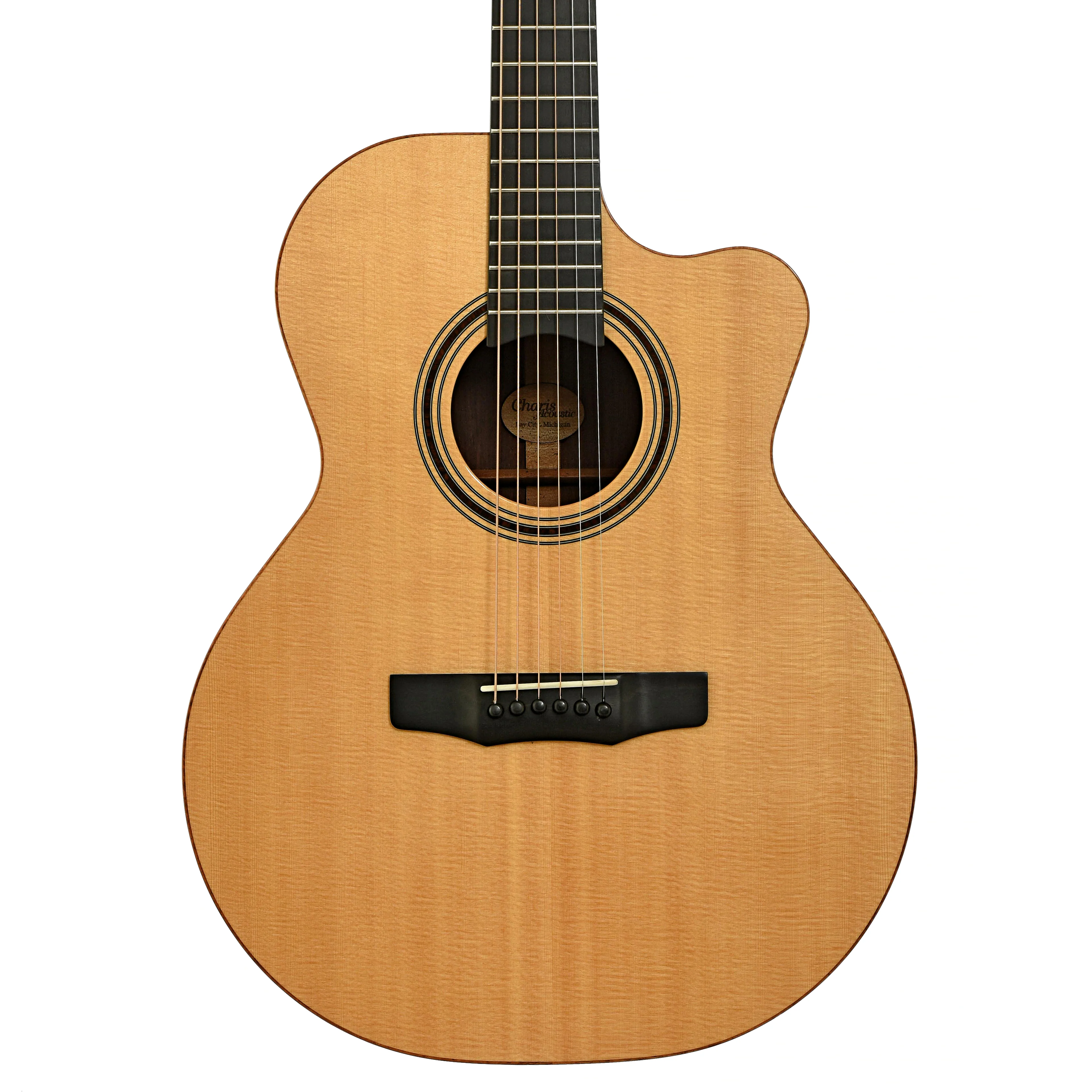 Charis SJ Performance Series Acoustic Guitar (2009) - Image 2