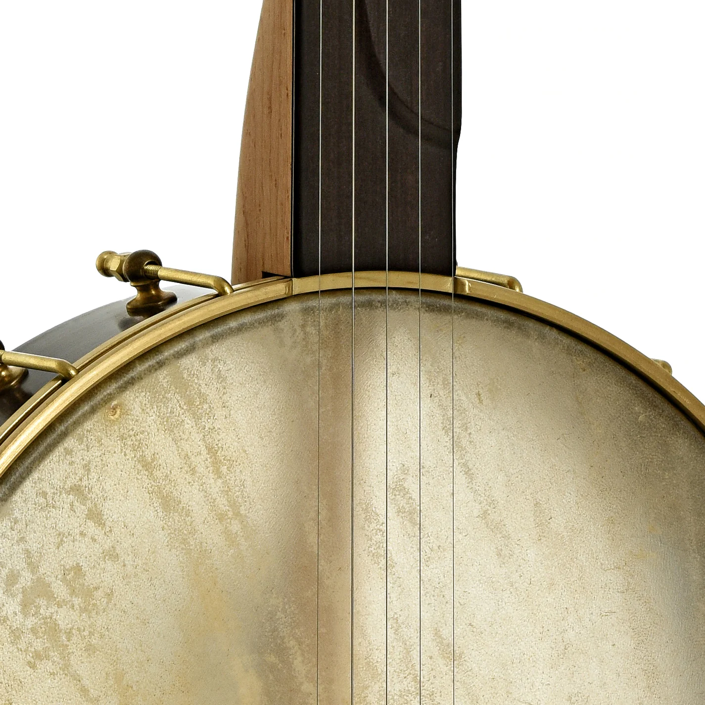 Chuck Lee Deep Hollow 12in Fretless Openback Banjo, #875 - Image 6