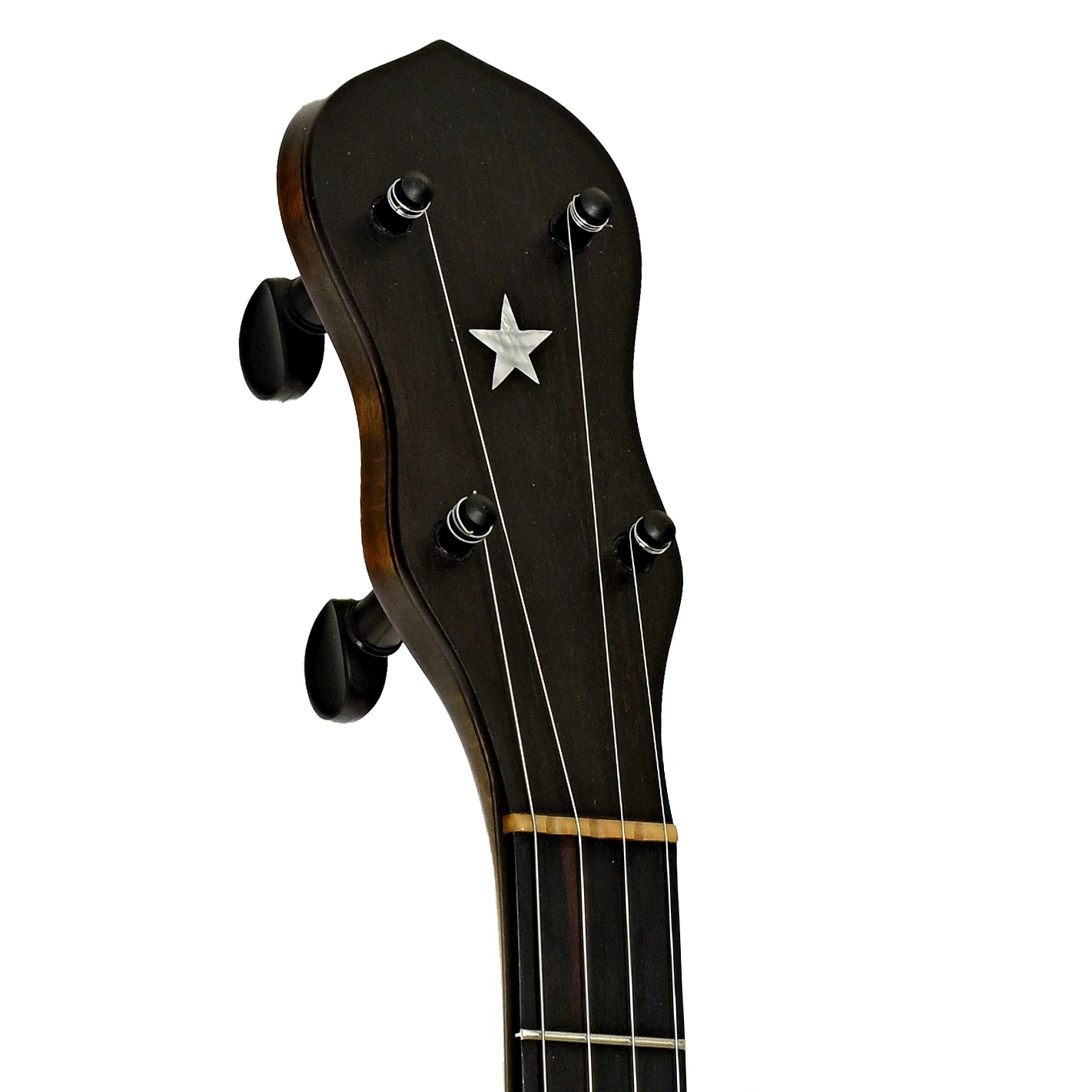 Chuck Lee Lone Star Glen Rose Custom Openback Banjo (2009) - Image 8